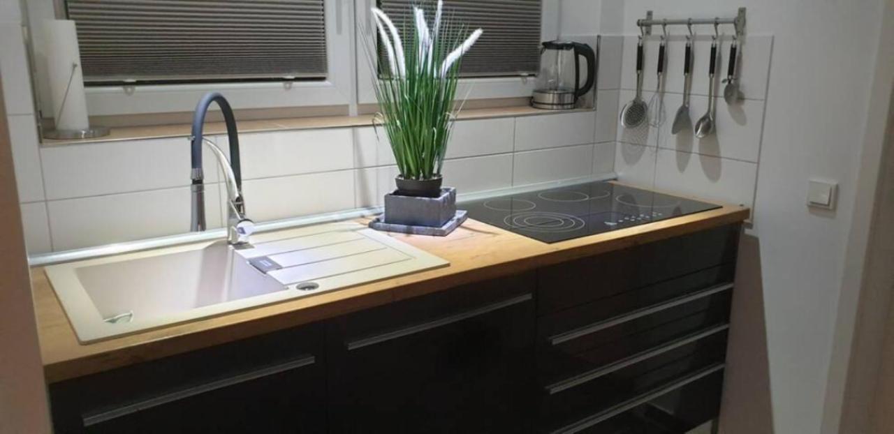 Schicke Ferienwohnung Mit Harzblick Fuer 1-2 Oder 1-4 Personen Goslar Exteriör bild